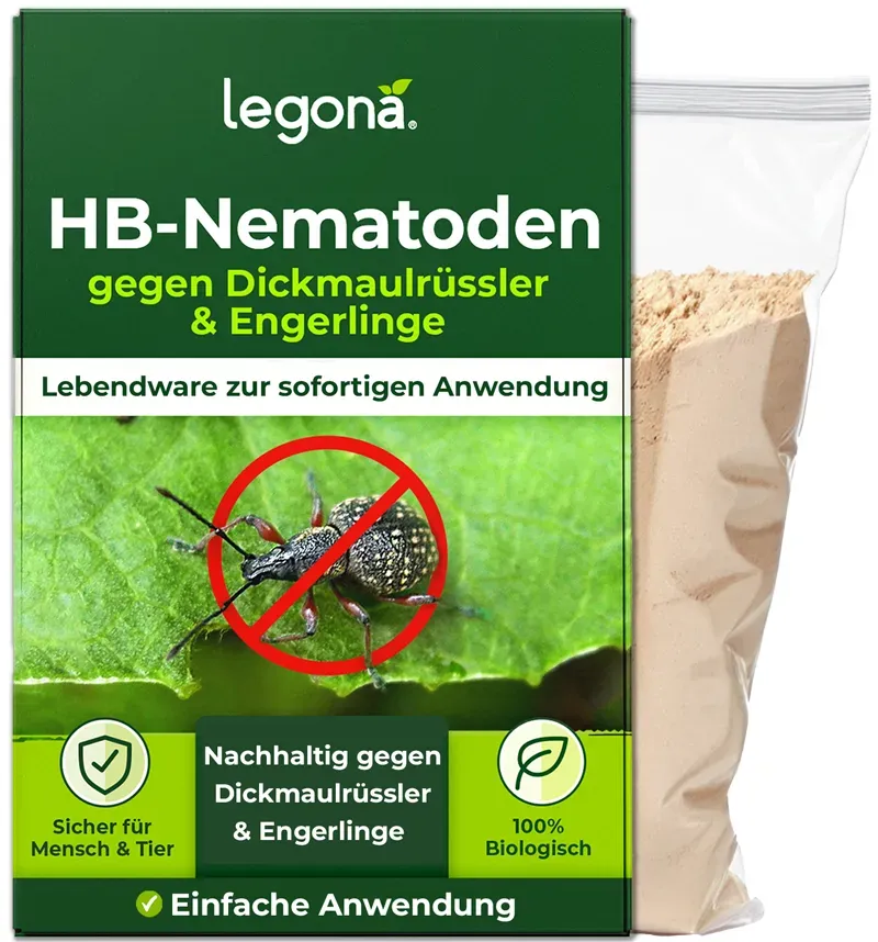 HB-Nematoden gegen Dickmaulrüssler und Engerlinge