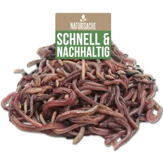 Natursache Kompostwurm-Mix 2000 STK./Sack + E-Book I Mit 3 Arten lebenden Kompostwürmer I Für eine schnelle & nachhaltige Kompostierung in Schnellkomposter, Thermokomposter und Wurmkomposter etc.
