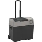 vidaXL Kühlbox mit Rollen und Griff Schwarz & Grau 50 L Polypropylen