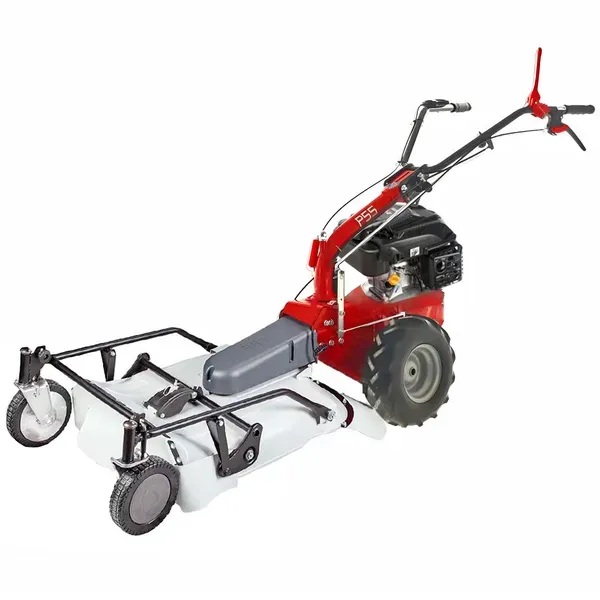 Eurosystems P55  Benzin-Schlegelmulcher - Wiesenmulcher PRO V2  RV200