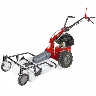 Eurosystems P55  Benzin-Schlegelmulcher - Wiesenmulcher PRO V2  RV200