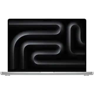 2024 M4 Pro 24 GB RAM 4 TB SSD 20-Core GPU Silber