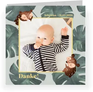 Dankeskarten zur Geburt in Grün mit eigenen Fotos gestalten im Design "Teddybär" - Musterkarte - Karten einfach online bei wunderkarten gestalten und bestellen
