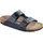 blau 41