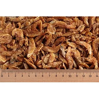 1 kg Shrimps 2-4 cm, Garnelen, Schildkrötenfutter, Reptilienfutter
