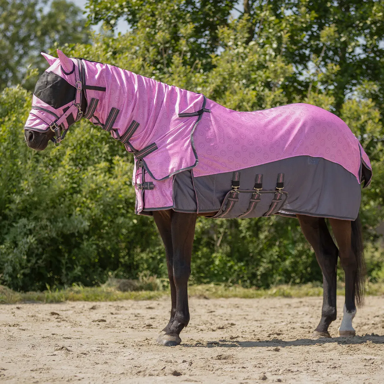 QHP Fliegendecke mit Halsteil und passender Haube Collection cheery pink FS 26, QHP17_Gr.: 175 (130cm)