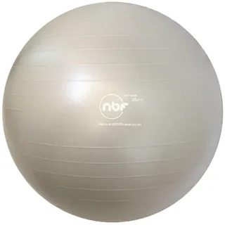 nbf Gymnastikball Schwangerschafts mit Pumpe 55cm 65cm 75cm Geburtsball für Schwangere und Geburt 65cm Silber