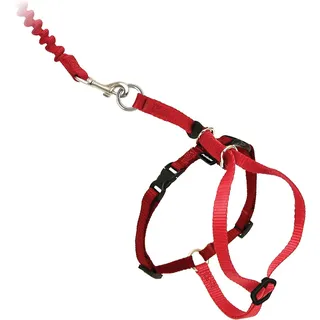 PetSafe Easy Walk Katzengeschirr, Mit elastischer Bungee-Leine, Für Spaziergänge mit Ihrer Katze, Größe S,