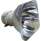 Nackte Philips Lampe VIEWSONIC PJD7720HD NLMP23821
