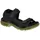 Black Acorn 42