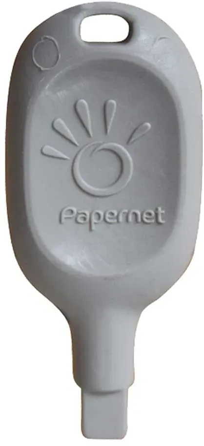 Papernet Spenderschlüssel für Handtuchspender 1 Stück