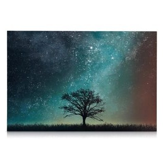 Navaris Magnettafel Memoboard, Starry Sky und Tree, 60 x 40 cm, bunt