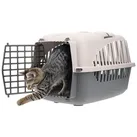 Hundebox Auto Rückbank Transportbox Katze Katzentransportbox Transportbox Kaninchen Katzenkorb Transport Hundetransportbox Grau