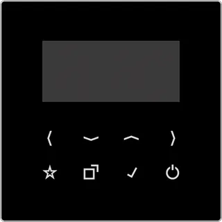 Jung Display für Smart Radio DAB LS-DISP SW