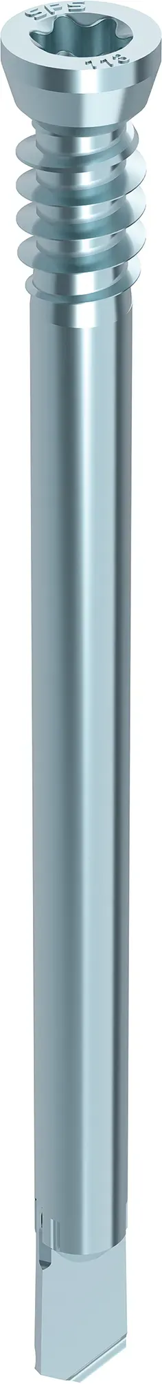 HECO WS Stabdübel, Zyllinkdersenkkopf, T-Drive, 100-Stück - 53344