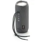 Qivee Lautsprecher Bluetooth Musikbox Tragbarer Radio Subwoofer Soundbox Soundstation