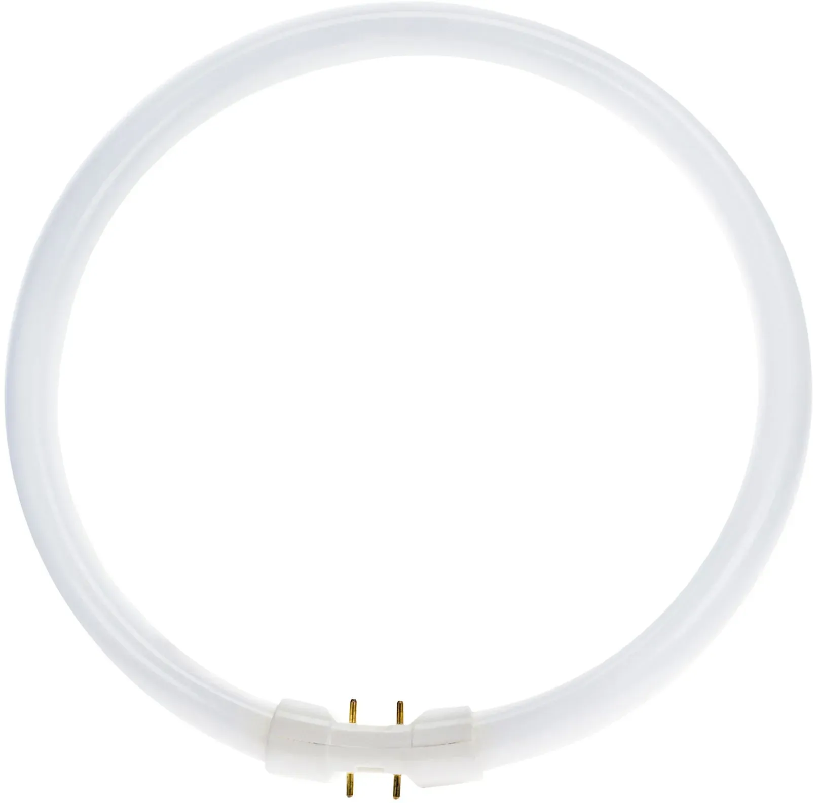 T5 Circline | 55W | 2GX13 Fassung | 840 Kaltweiß | 4-Pin | Φ300MM