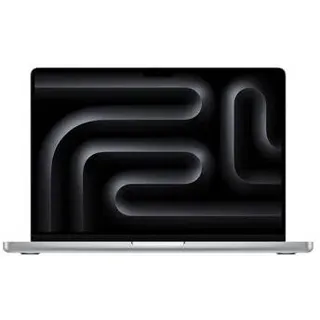 2024 M4 16 GB RAM 512 GB SSD 10-Core GPU Silber Z1DW-US01
