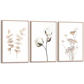 Bilder-Set BOTANIC NATURAL (BH 20x30 cm) - BH 20x30 cm