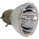 Beamerlampe (nur Leuchtmittel) für OPTOMA (ersetzt: SP.8MY01GC01 BL-FP230H)