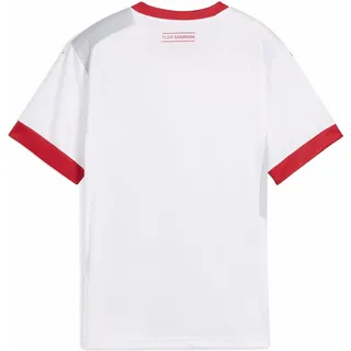 Dänischer Handballbund 24/25 Auswärtstrikot Kinder PUMA White Cool Light Gray WEISS|grau|grau 140 cm