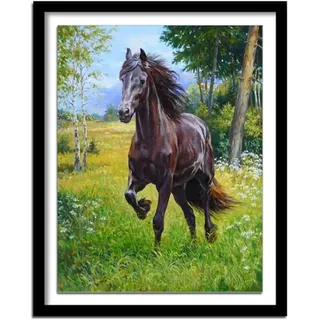 kreuzstich Set Kinder Anfänger-Zwei Pferde-11CT DIY stickbilder stickpackungen-Cross Stitch Handarbeiten Stickerei-Weihnachts Kunst Heimdekoration 40X50cm