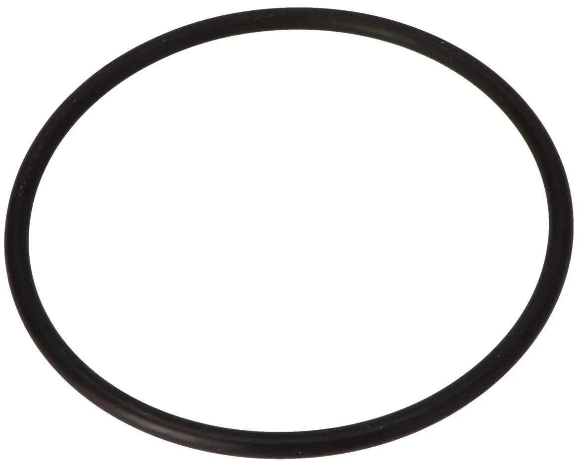 O-Ring für Klarsichteinsatz 105 x 5 mm AquaPlus und Magic II