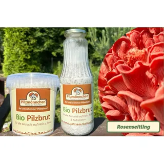 Rosenseitling-Pilzbrut BIO 1 Liter