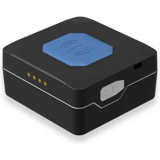 Teltonika TMT250