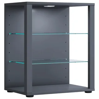 VCM Standvitrine Glasol 52 x 35 x 60 cm Grau