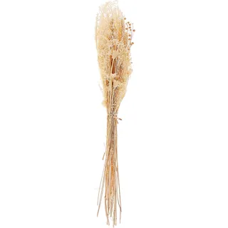 Trockenblumenstrauß BRUNETE 65 cm Naturfarben
