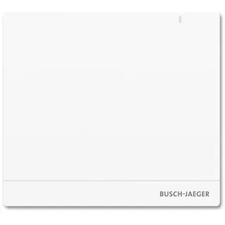 Busch-Jaeger System Access Point 2.0 Wireless SAP/S.13