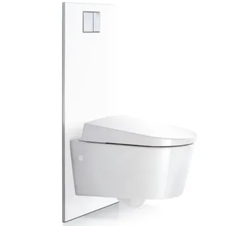 Geberit Designplatte für AquaClean Sela, Mera und Tuma WC-Komplettanlage