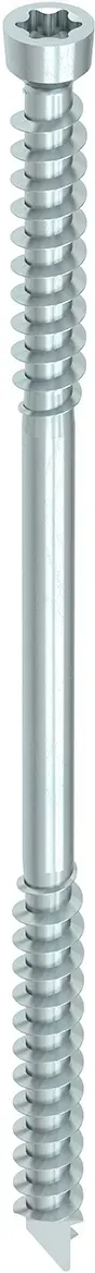 HECO WT-T, Zylindersenkkopf, T-Drive, 8,2mm, 50 Stück - 53402