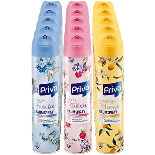 Priva Raumspray 300 ml, verschiedene Sorten, 15er Pack