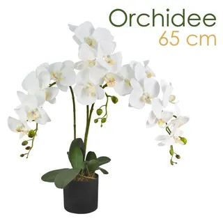 Decovego Künstliche Orchidee Kunstpflanze Künstliche Pflanze Kunstblume Innendekoration Kunst Pflanze wie echt im Topf Auswahl, Auswahl Orchidee Pflanze:Orchidee Modell 7
