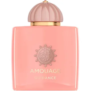 Amouage Odyssey Guidance Eau de Parfum 100 ml
