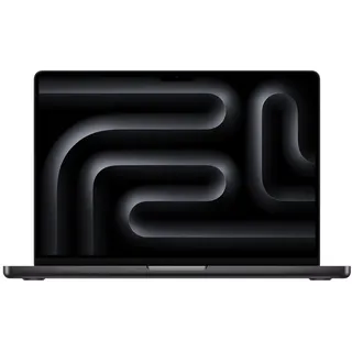 2024 M4 Pro 24 GB RAM 512 GB SSD 16-Core GPU Space Schwarz