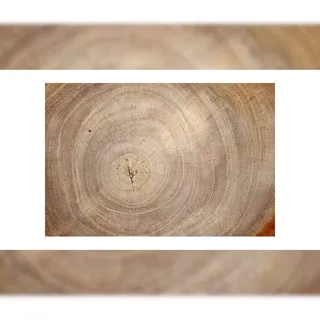 ALLboards Magnettafel 90,0 x 60,0 cm Baumstamm