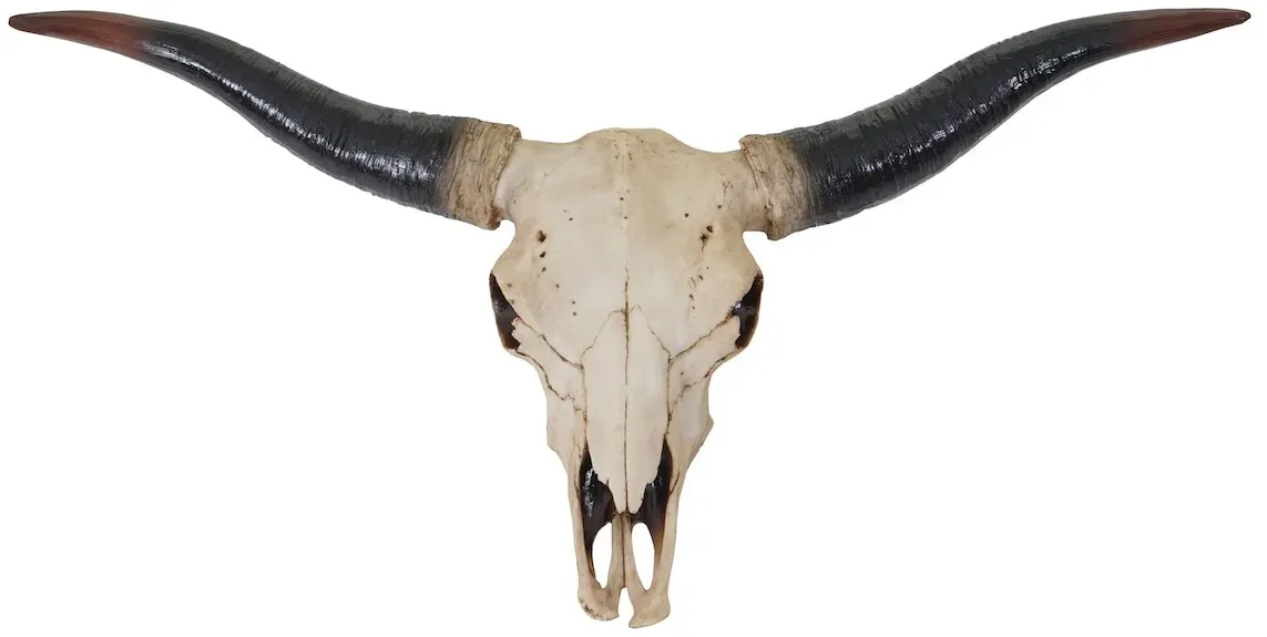 Décoshop26 - Stierkopf-Wanddekoration 75 cm Longhorn-Trophäe aus Polyresin für den Innen- und Außenbereich Natur 04_0002852