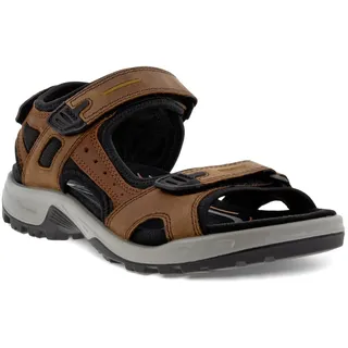 cocoa brown black 41