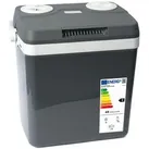 Dino-Kraftpaket Kühlbox 131001, 25 Liter, elektrisch, 12V und 230V