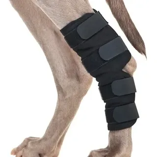 Back on Track Dog Hock Brace, pair