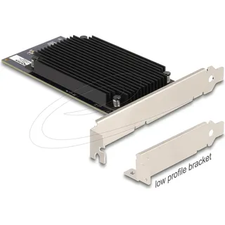 DeLock 31416 PCI-Express Karte, PCIe x8 Hailo-8 AI Prozessor x2 KI-Beschleuniger