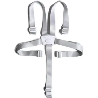 Fitzulam Hochstuhl-Sicherheitsgurte, 5-Punkt-Gurt für Kinder, Nylon-Ersatzgurte für Hochstuhl/Kinderwagen/Buggy/Kinderwagen