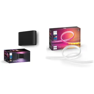 Philips Hue White & Color Ambiance Dymera Smarte Außenleuchte Kalt-Warmweiß und Farbe