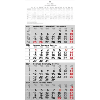 Adina 2025 ADINA Wandkalender 4-Monate 60x30cm