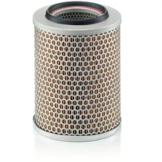 Mann-Filter C 17 160