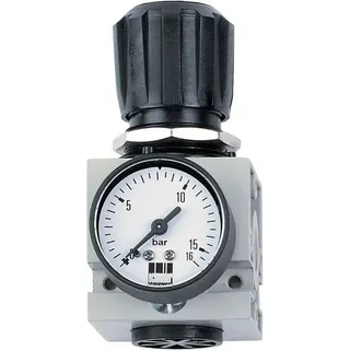 Schneider Druckminderer DM 1/4 W