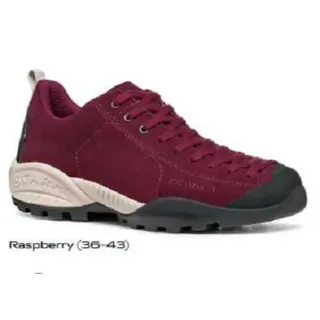 raspberry 41